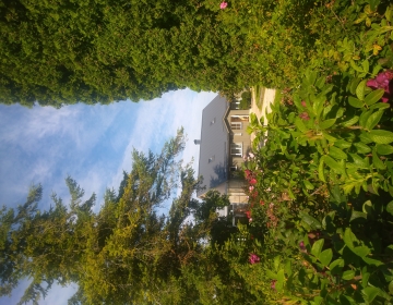 Roosiaed