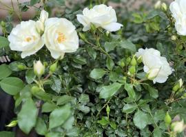 2025 UUS! Schneeflocke, F, S(Bod), ADR